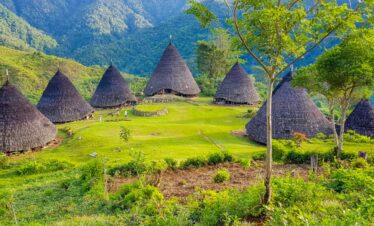 Wae Rebo 2D Cultural Experience